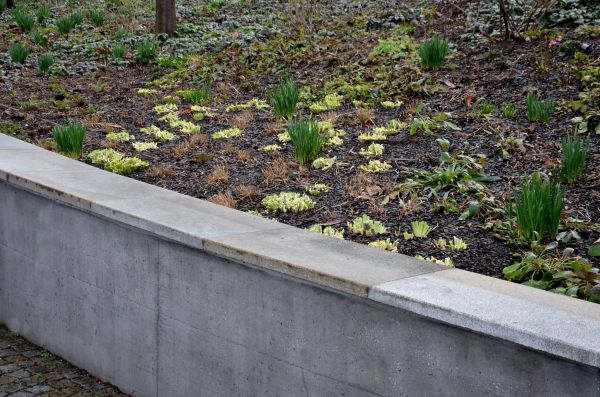 Concrete Wall Construction in Kernersville