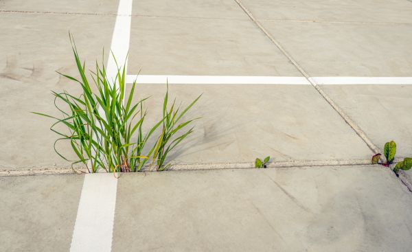 Concrete Parking Installation in Kernersville